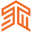 STM logo